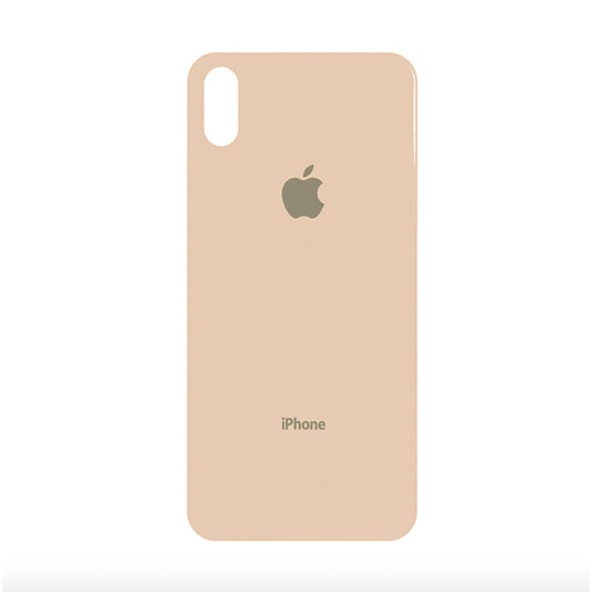 Vidrio Trasero iPhone XS Gold