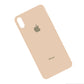 Vidrio Trasero iPhone XS Gold