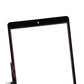 Vidrio y Touch panel iPad 9 Negro
